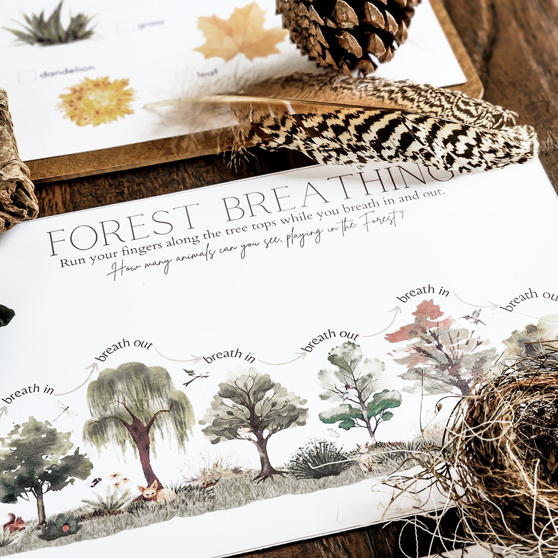 429c04_7c7a1aea58aa4783b1f6399829f0f867~mv2